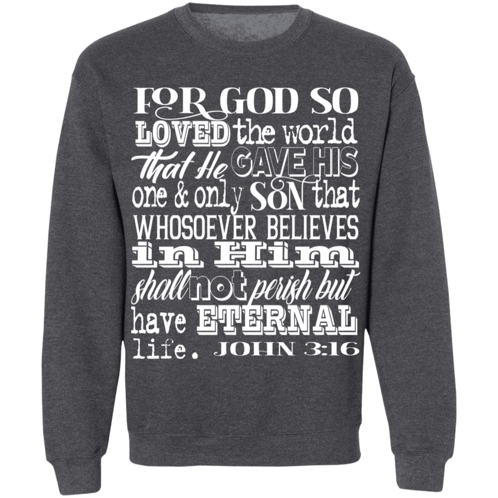 John 3:16 1SW