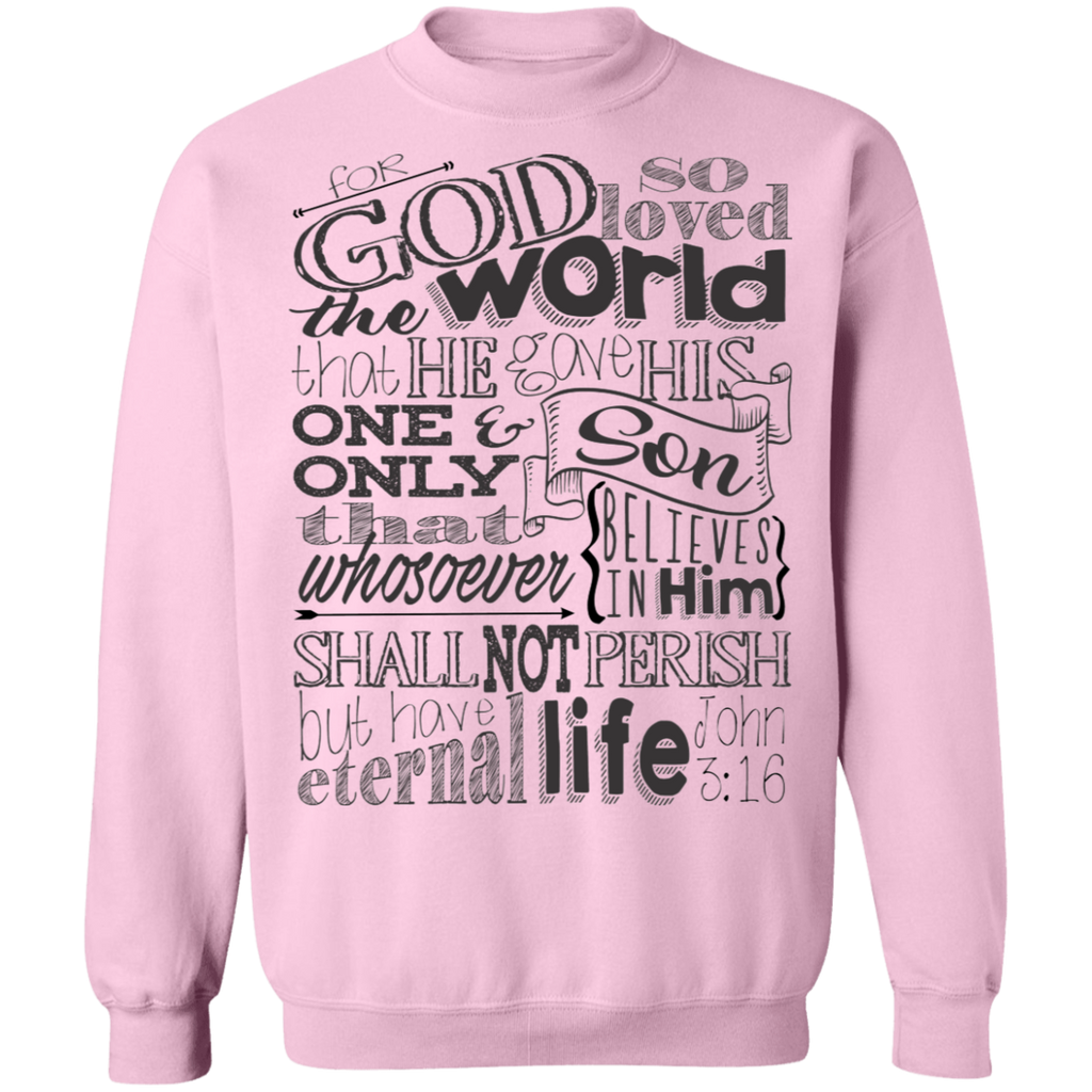 John 3:16 2SW