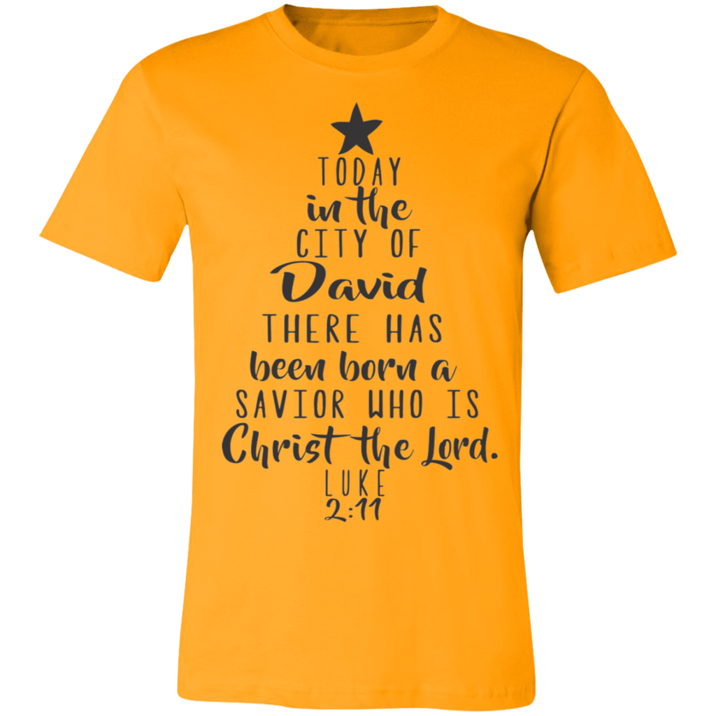 Luke 2:11 SS