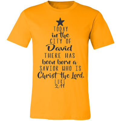 Luke 2:11 SS Luke 2:11 SS
