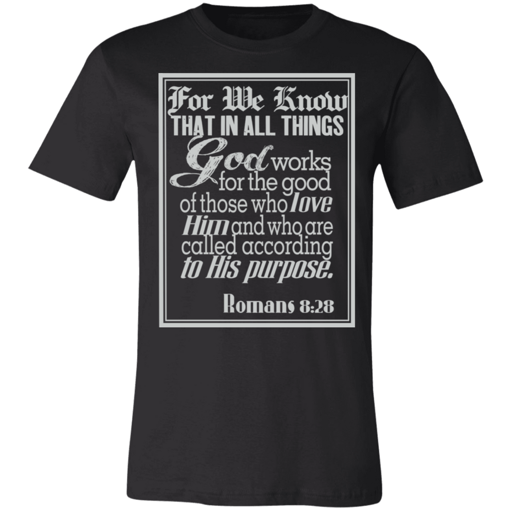 Romans 8:28 News SS