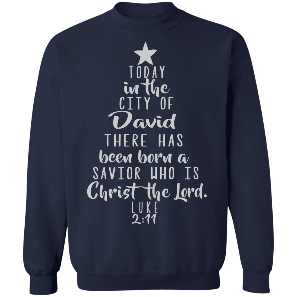 Luke 2:11 SW