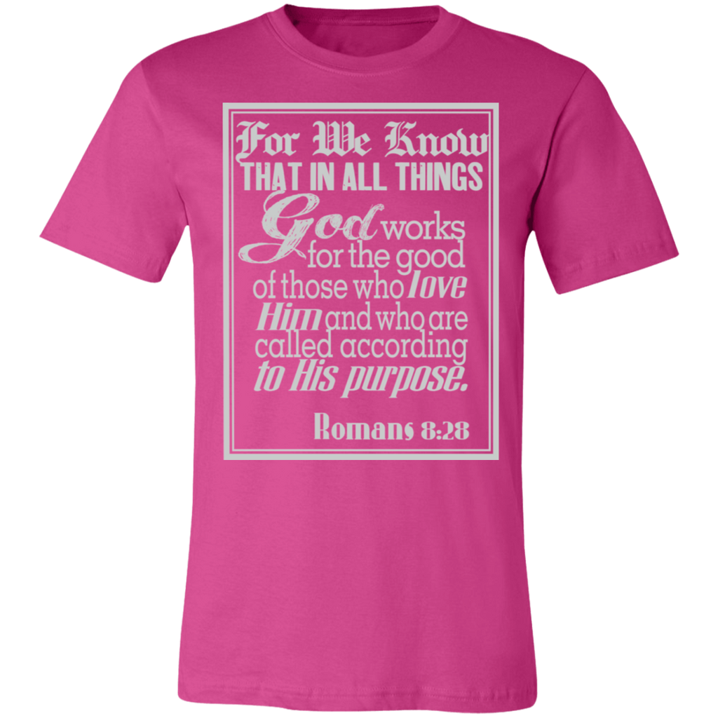 Romans 8:28 News SS