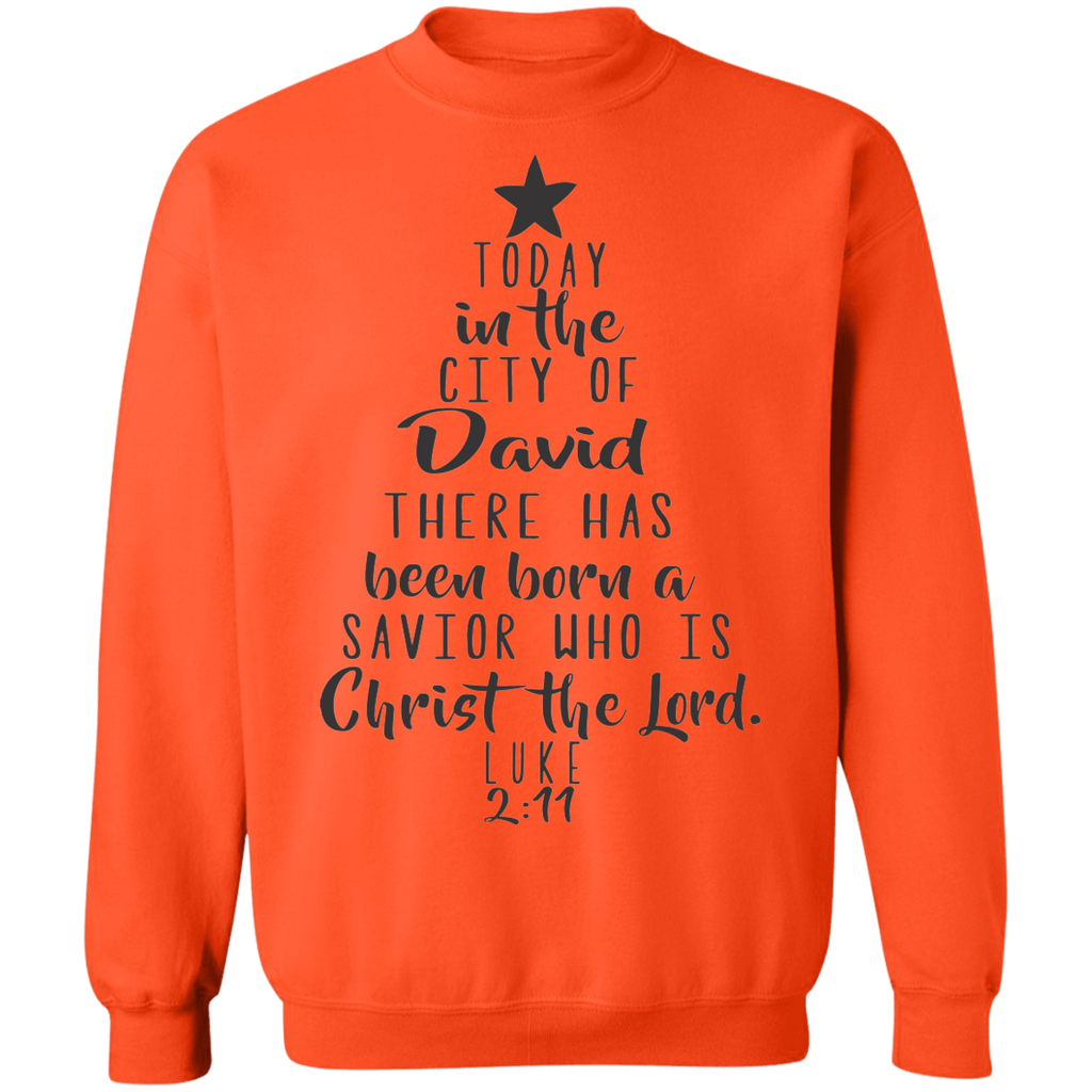 Luke 2:11 SW