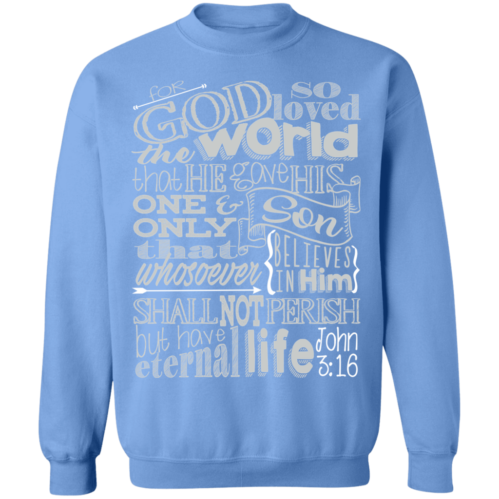 John 3:16 2SW