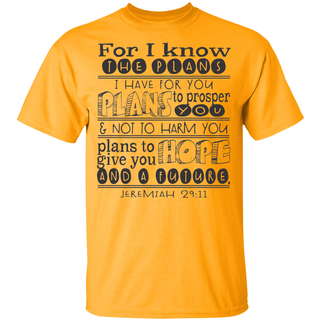 Kids Jeremiah 29:11 SS