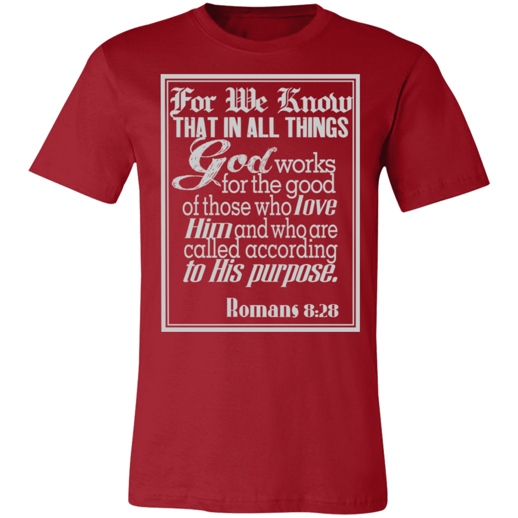 Romans 8:28 News SS