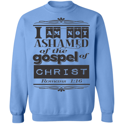 Romans 1:16 3SW