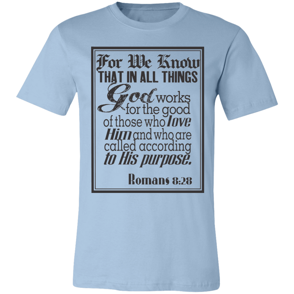 Romans 8:28 News SS
