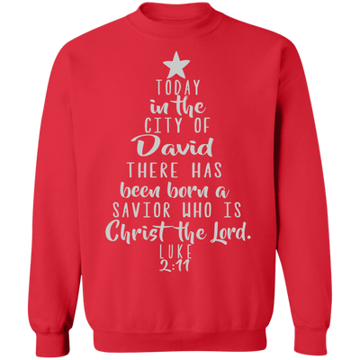Luke 2:11 SW Luke 2:11 SW