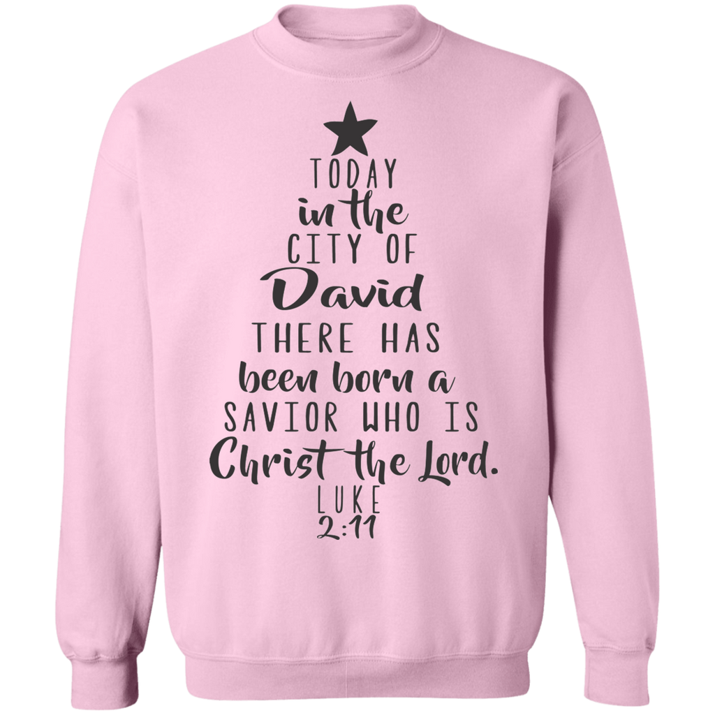 Luke 2:11 SW