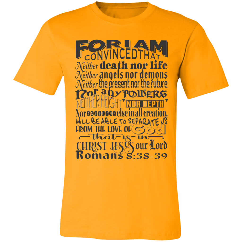 Romans 8:38-39 SS