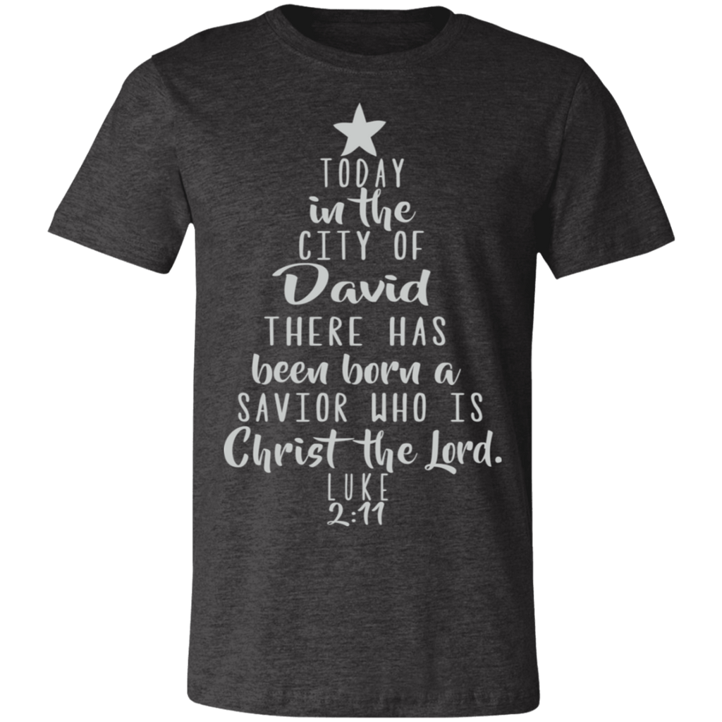 Luke 2:11 SS