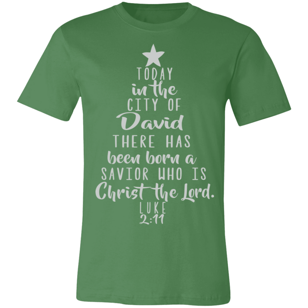 Luke 2:11 SS