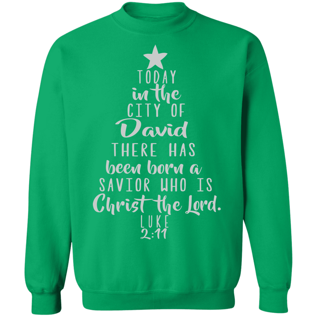 Luke 2:11 SW
