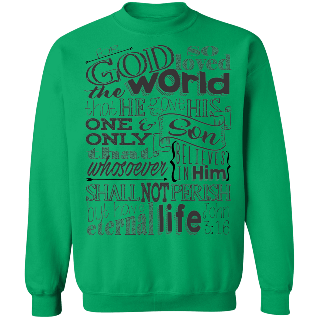John 3:16 2SW