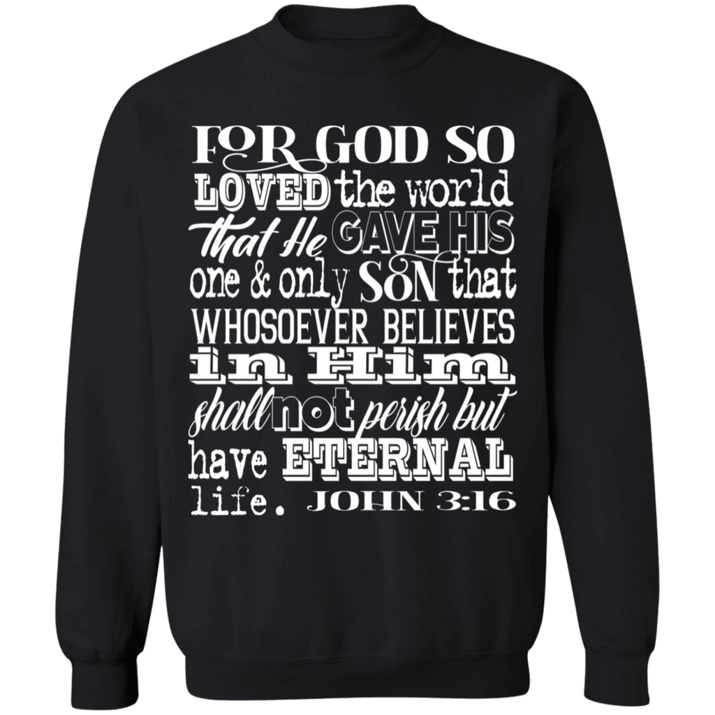John 3:16 1SW