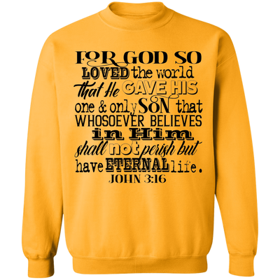 John 3:16 1SW John 3:16 1SW