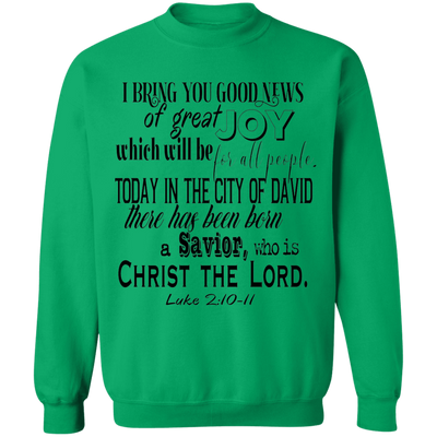 Luke 2:10-11 SW Luke 2:10-11 SW
