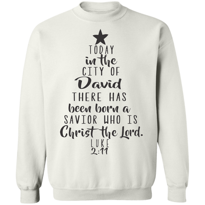 Luke 2:11 SW Luke 2:11 SW