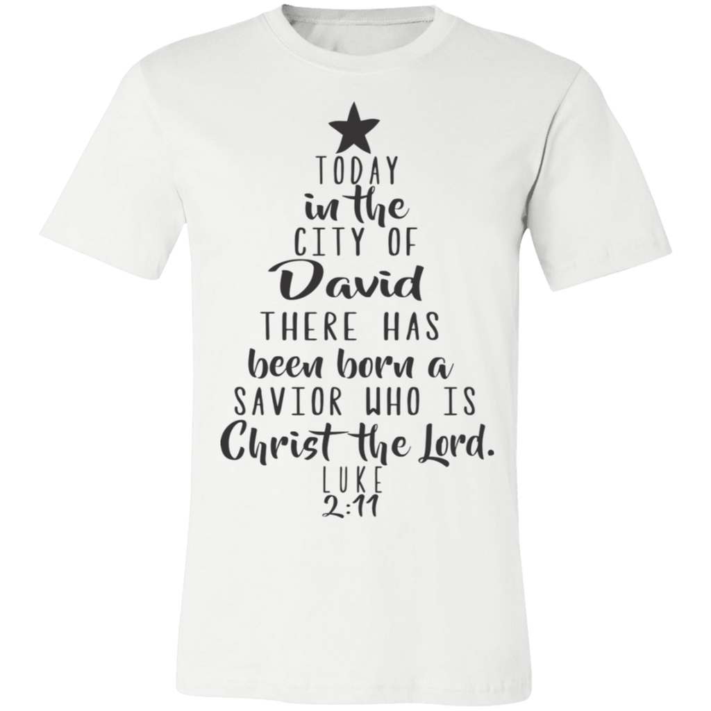 Luke 2:11 SS