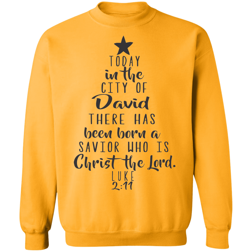 Luke 2:11 SW