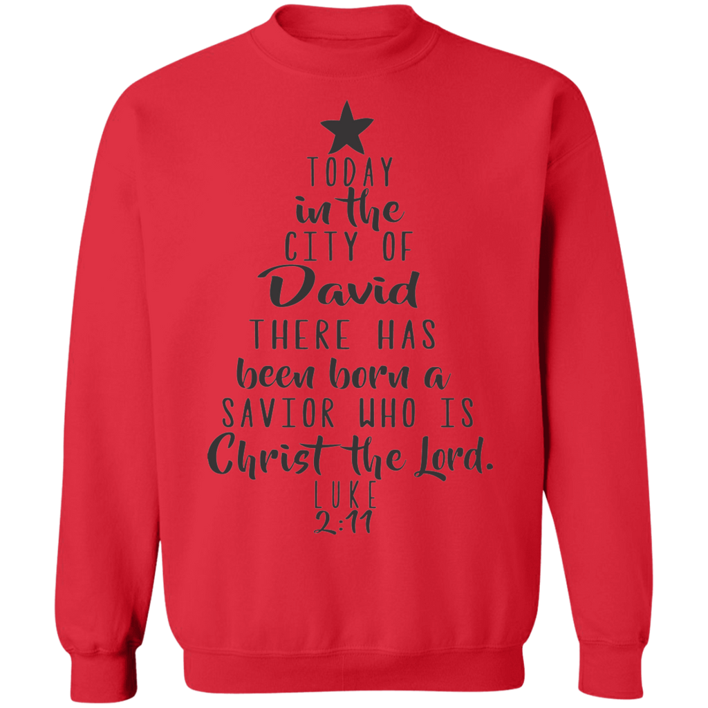 Luke 2:11 SW