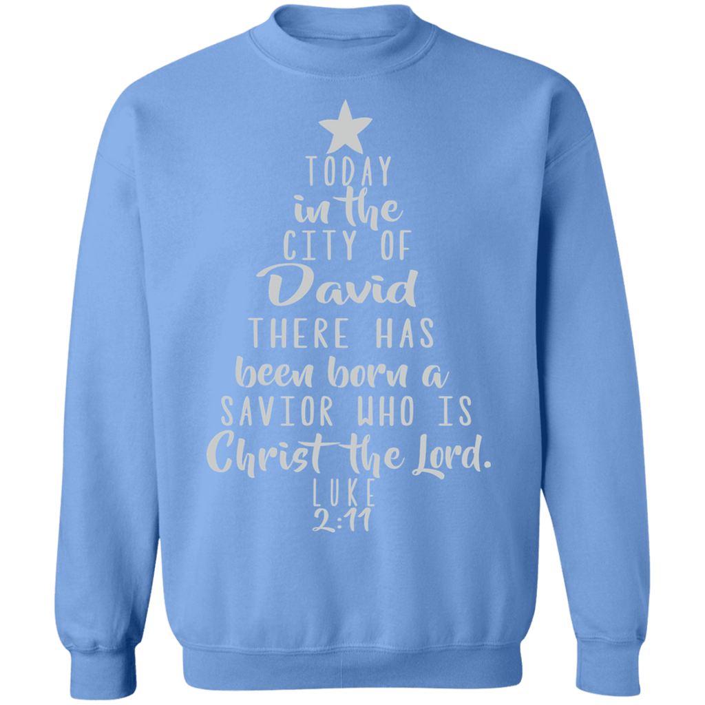 Luke 2:11 SW