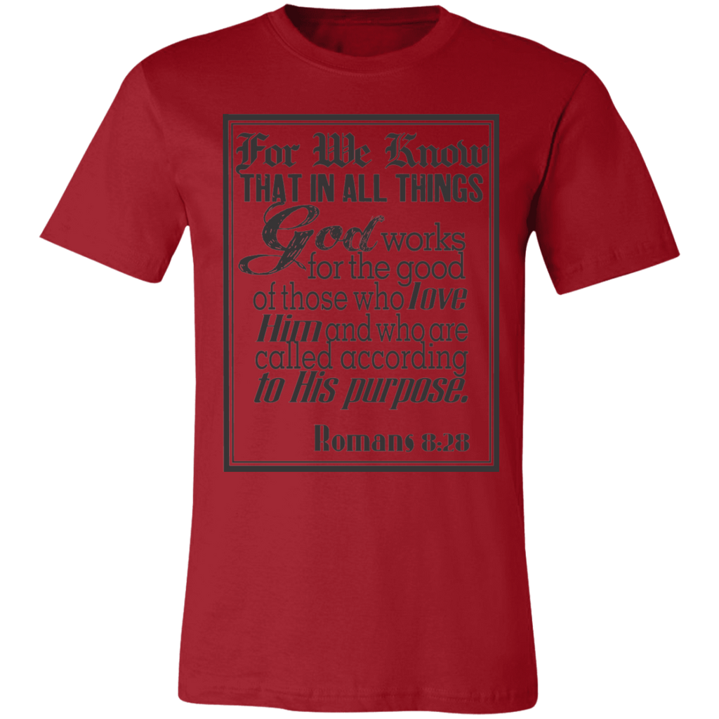 Romans 8:28 News SS