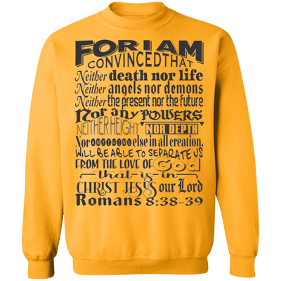 Romans 8:38-39 SW Romans 8:38-39 SW