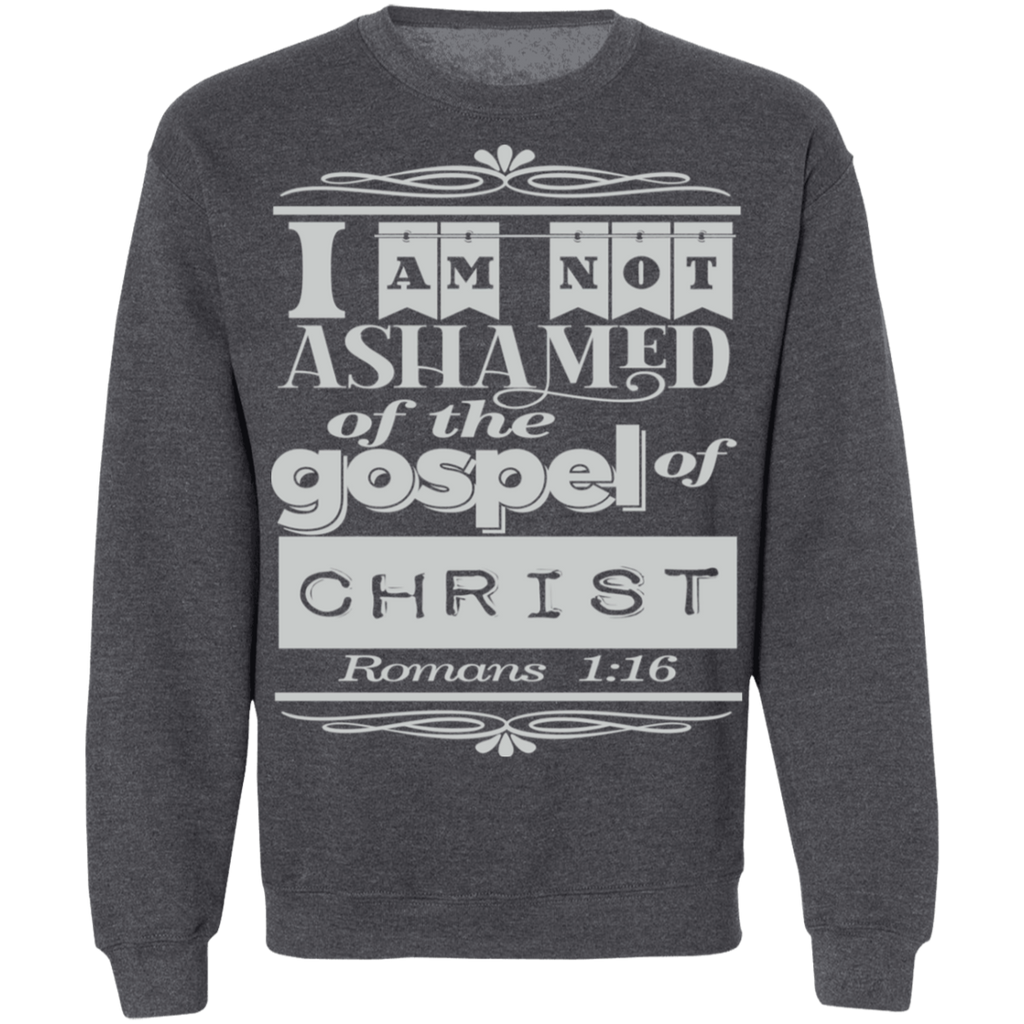 Romans 1:16 3SW
