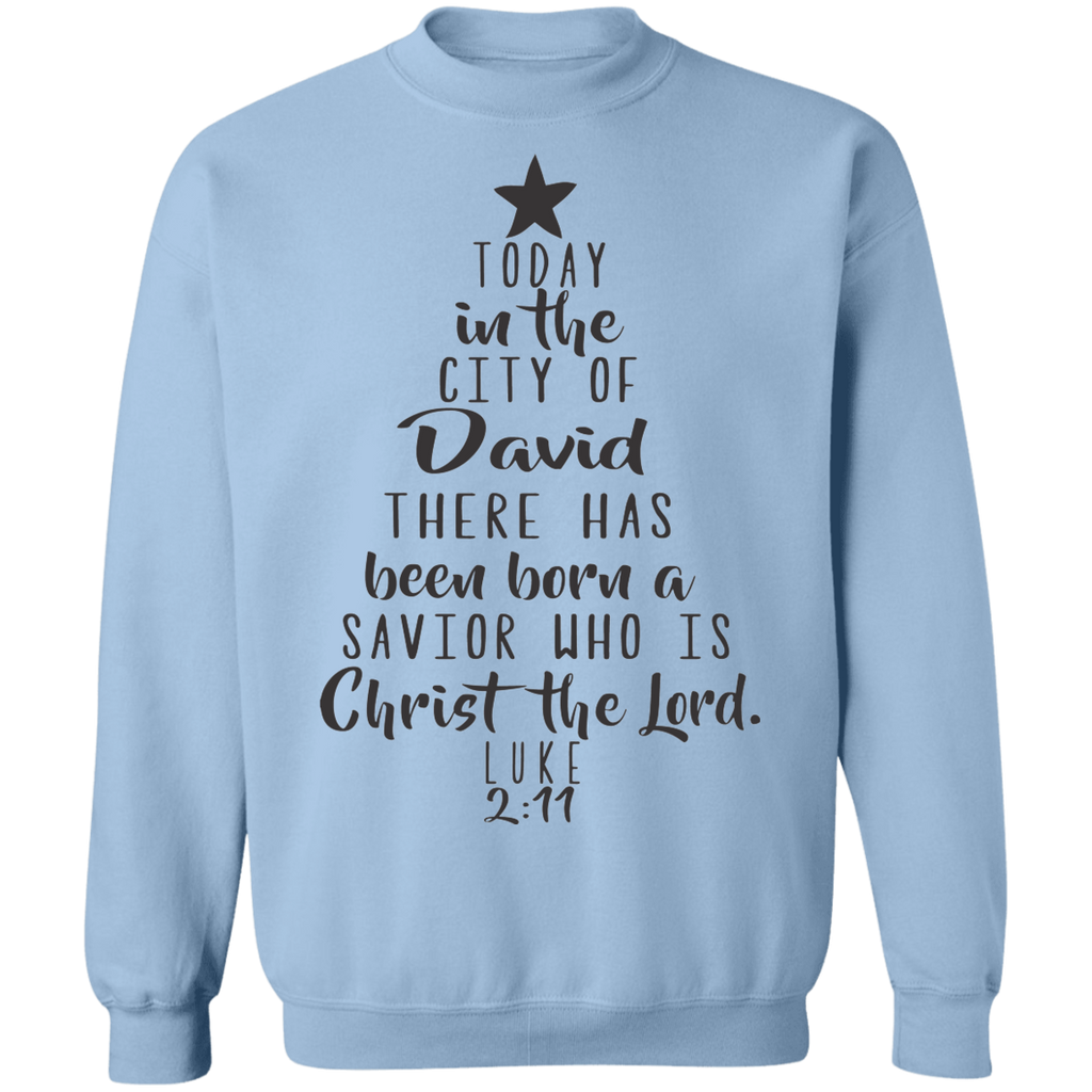 Luke 2:11 SW