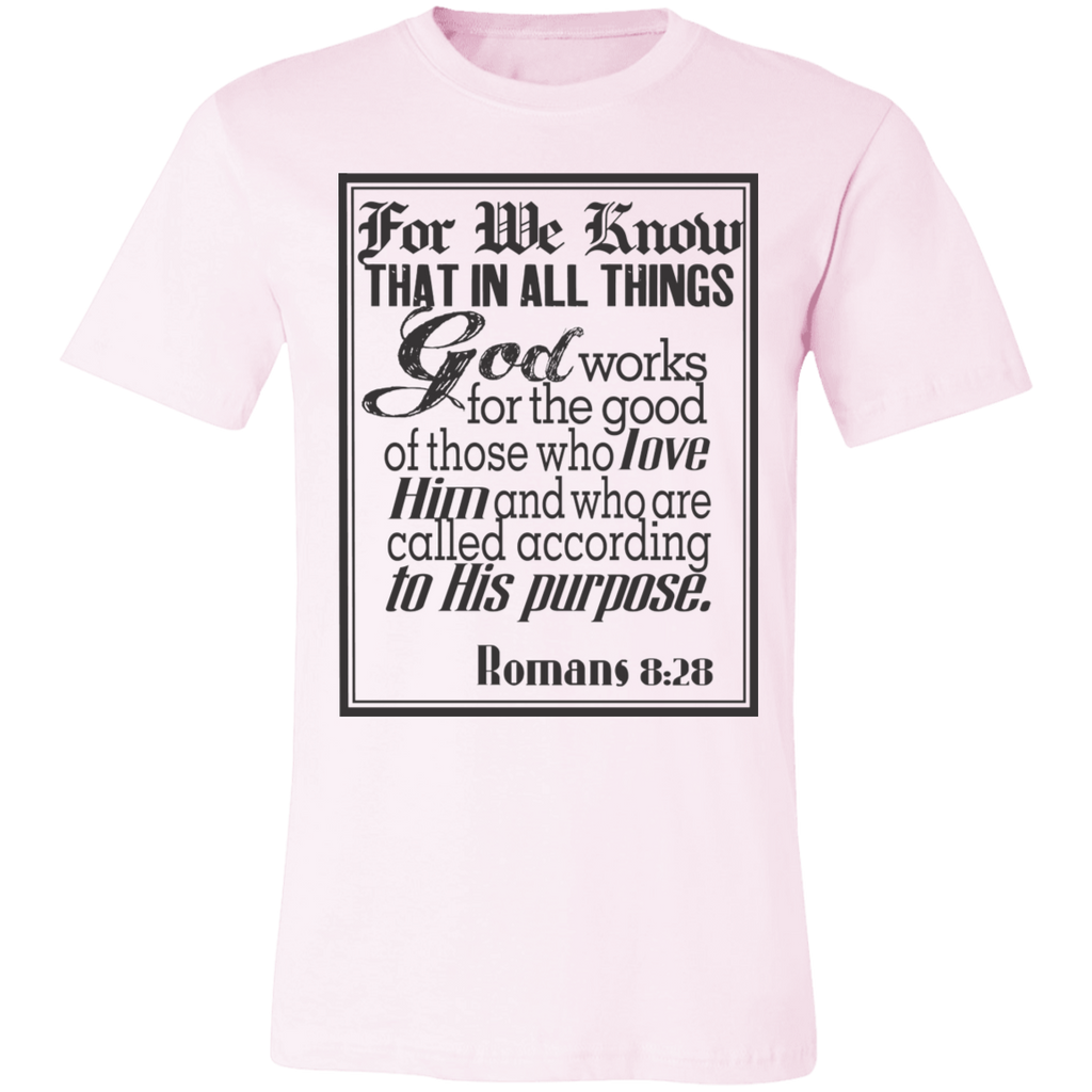 Romans 8:28 News SS