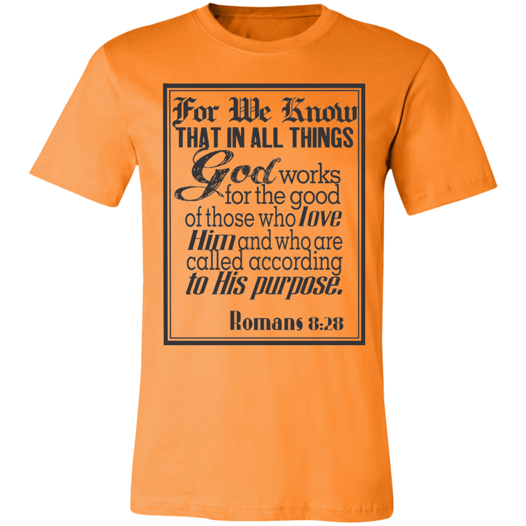 Romans 8:28 News SS
