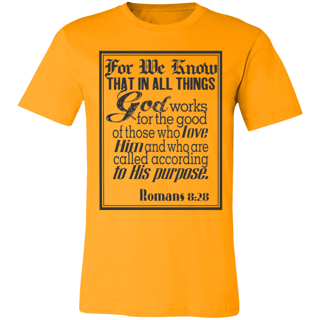 Romans 8:28 News SS