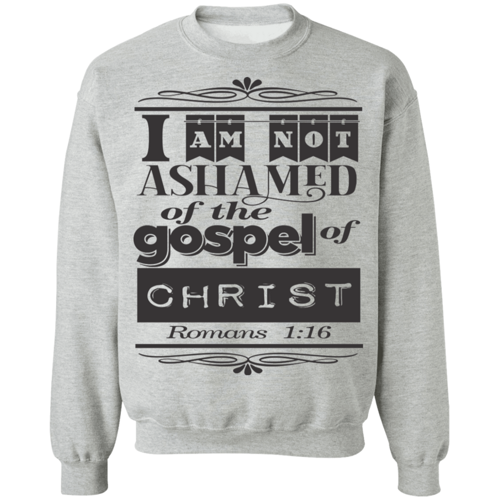 Romans 1:16 3SW