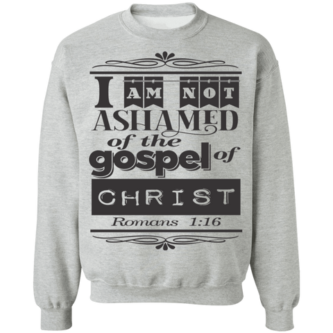 Romans 1:16 3SW