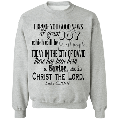 Luke 2:10-11 SW Luke 2:10-11 SW