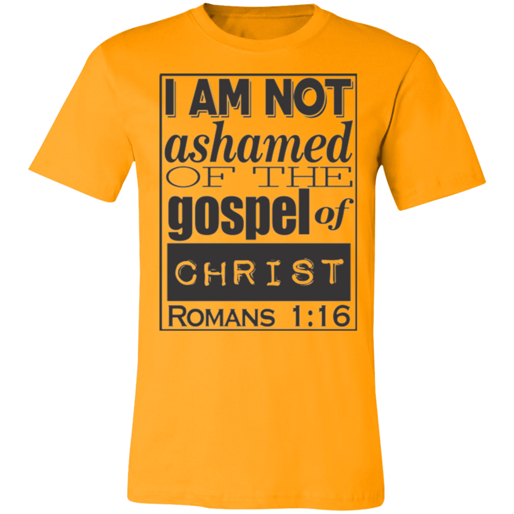 Romans 1:16 2SS