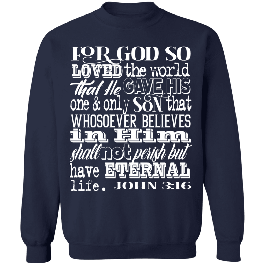 John 3:16 1SW