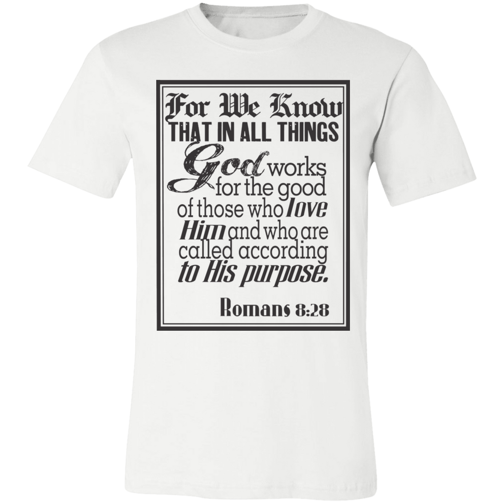 Romans 8:28 News SS