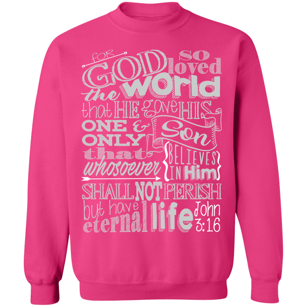John 3:16 2SW