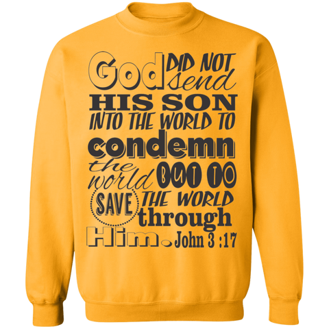 John 3:17 SW