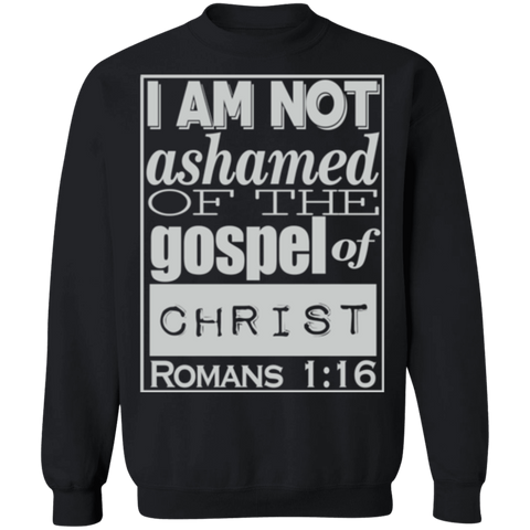 Romans 1:16 2SW