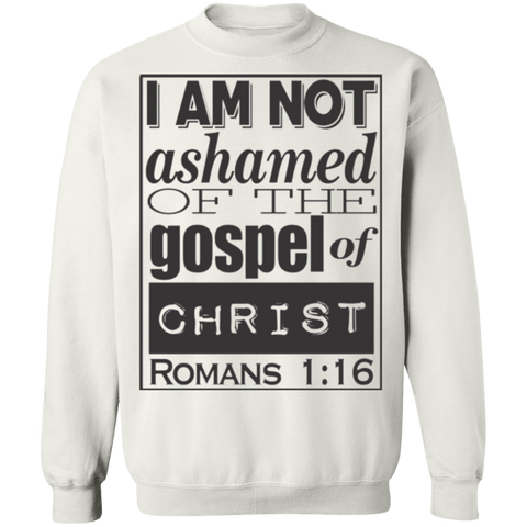 Romans 1:16 2SW