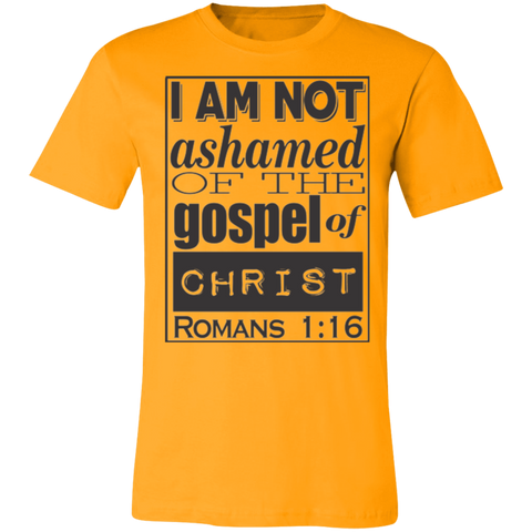 Romans 1:16 2SS