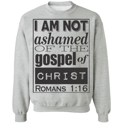 Romans 1:16 2SW